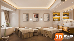 Spa Skp Files 
